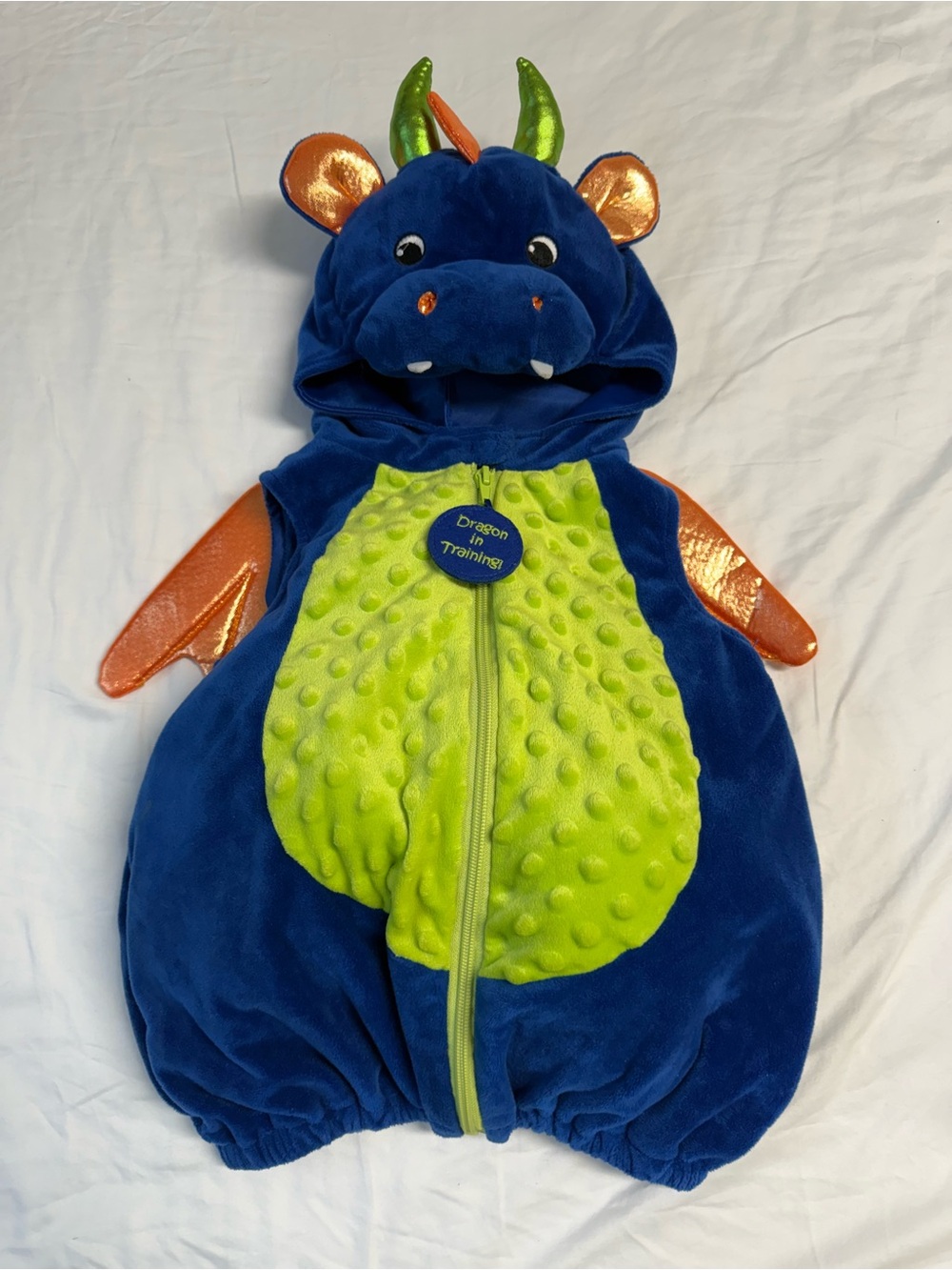 Dragon in Training Toddler Halloween Costume - Blue & Green